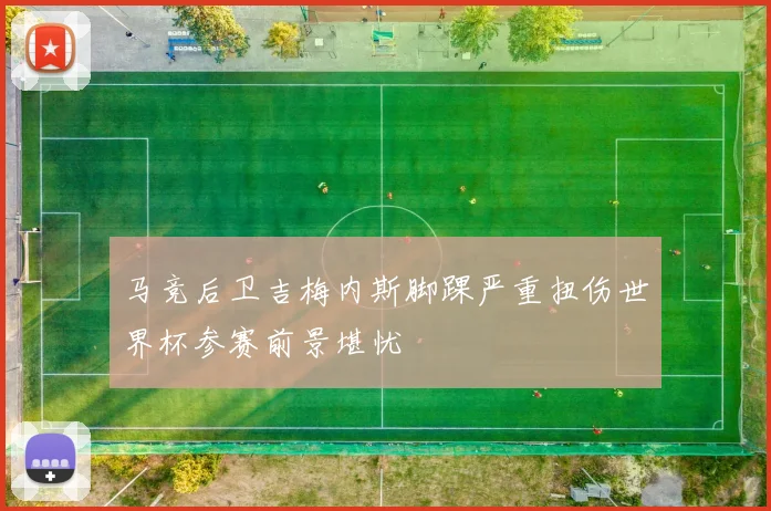 马竞后卫吉梅内斯脚踝严重扭伤世界杯参赛前景堪忧