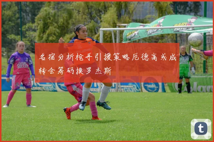 名宿分析枪手引援策略厄德高或成转会筹码换罗杰斯