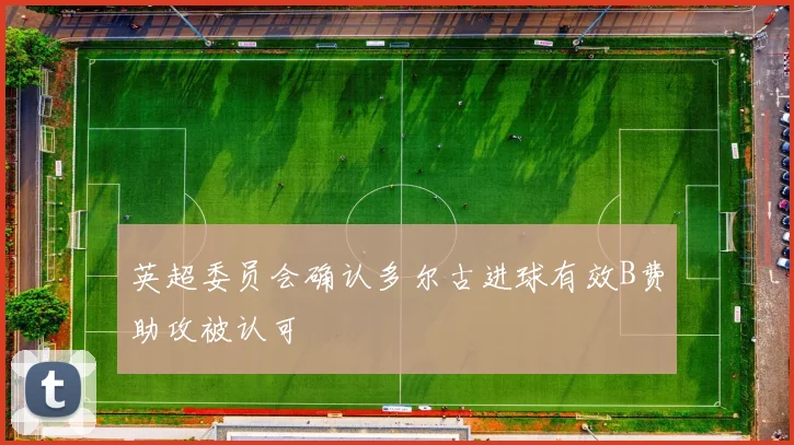 英超委员会确认多尔古进球有效B费助攻被认可