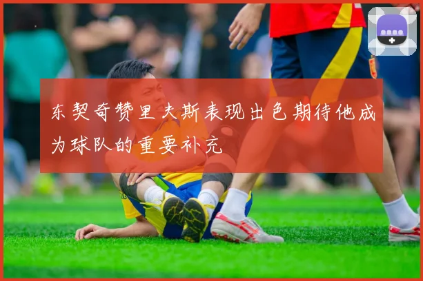 东契奇赞里夫斯表现出色期待他成为球队的重要补充