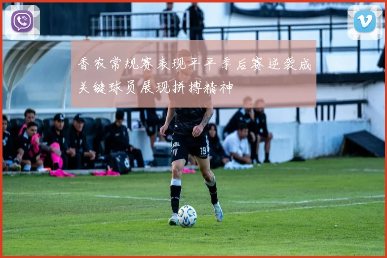 香农常规赛表现平平季后赛逆袭成关键球员展现拼搏精神
